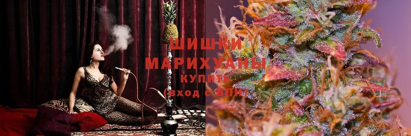 МАРИХУАНА SATIVA & INDICA  купить наркотики сайты  hydra зеркало  Кузнецк 